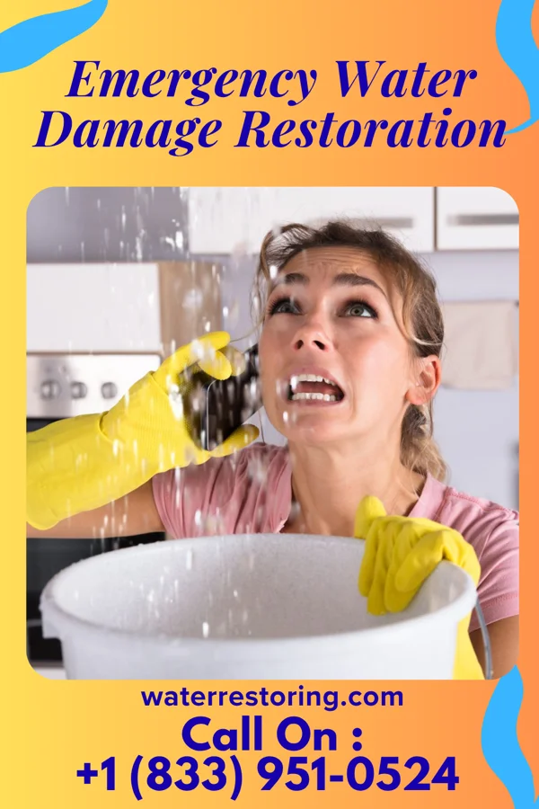 Emergency Water Damage Restoration in Rockford, IA