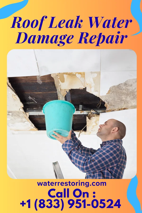 Roof Leak Water Damage Repair in Rockford, IA