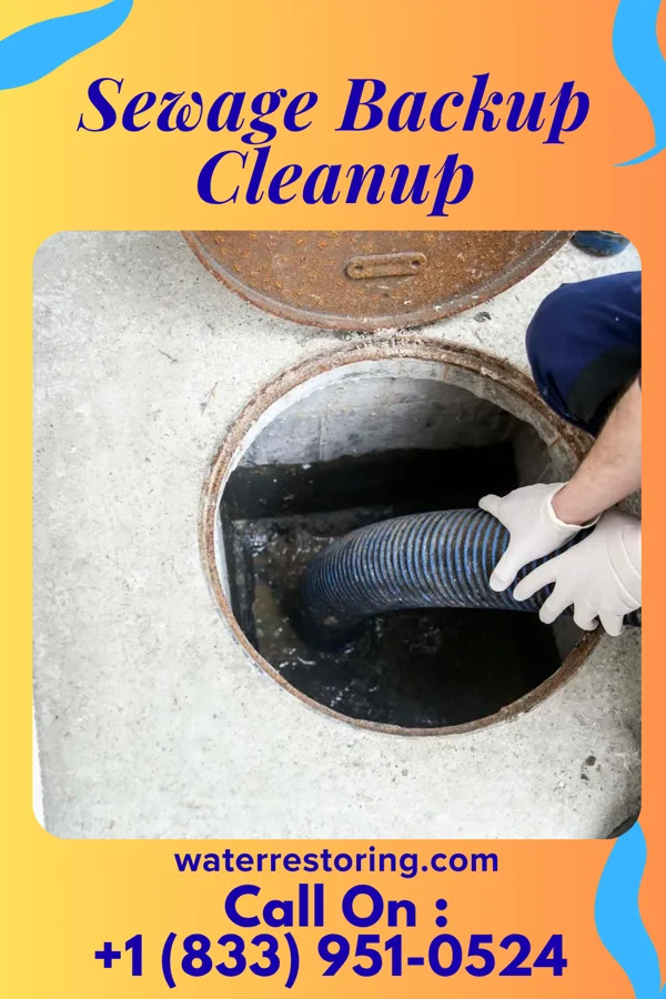 Sewage Backup Cleanup in Rockford, IA